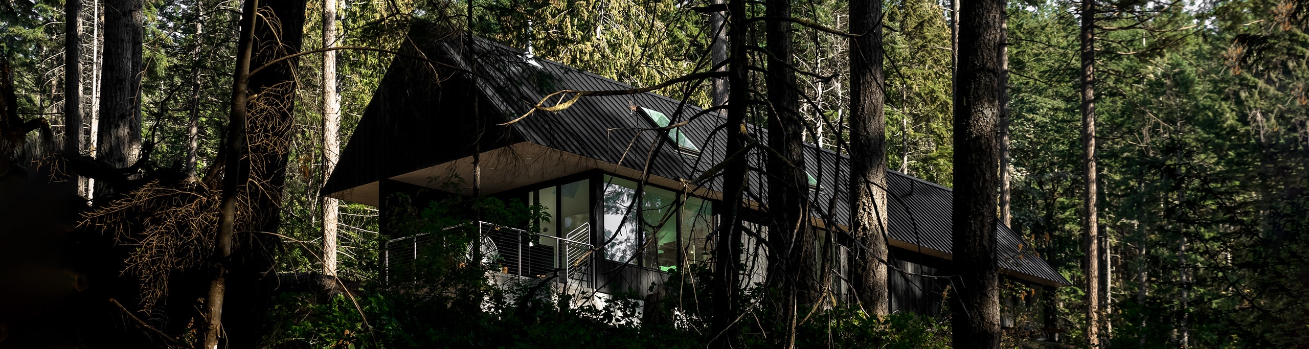 new home built in a forest